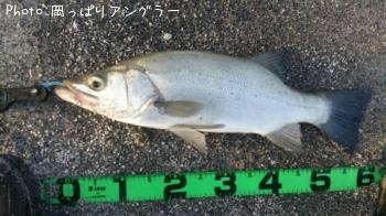 ҥ饹