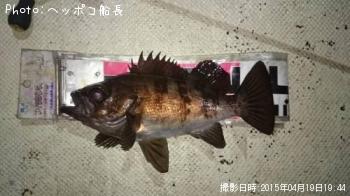 メバル