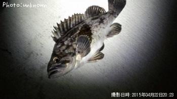 クロソイ