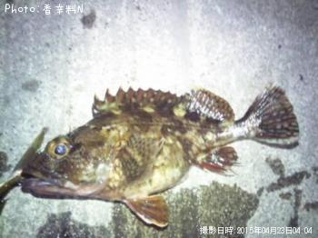 アジ