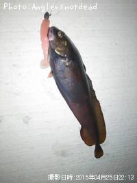 クロソイ