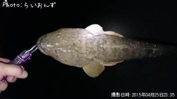 ޥ