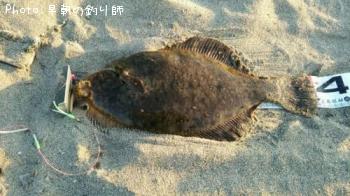 ޥ쥤