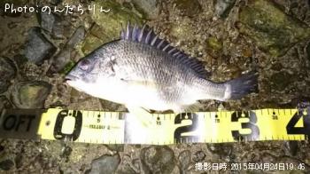 キビレ