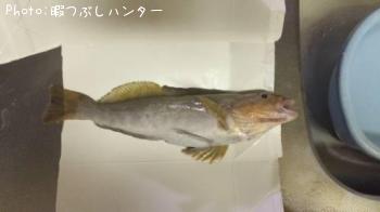 ʥ