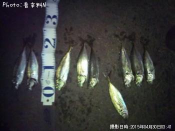 アジ