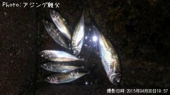アジ