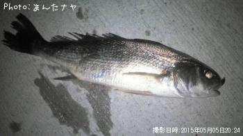 イシモチ