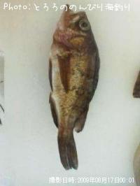 Х