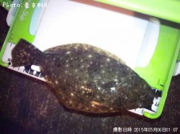 ヒラメ
