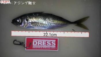 アジ