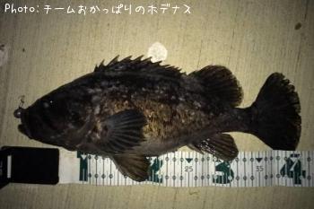 クロソイ