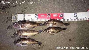 クロソイ