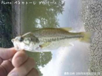 ӥХ