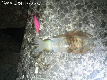 屨±