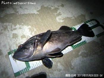 クロソイ