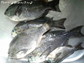 クロ