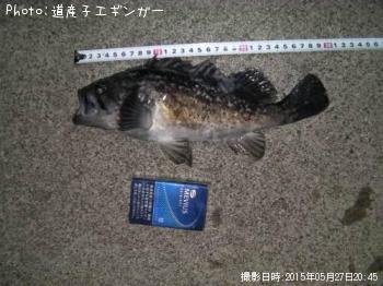 クロソイ