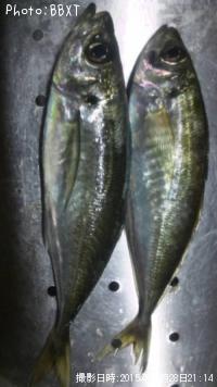 アジ