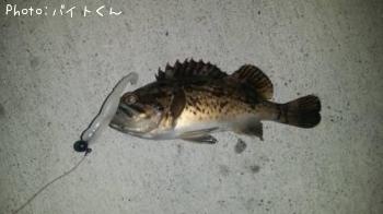 クロソイ