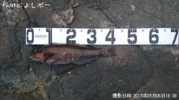 ʥ