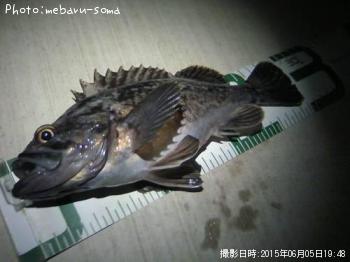 クロソイ