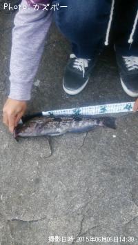 ʥ