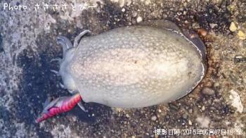 䥱