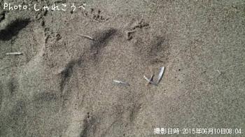 ʥ