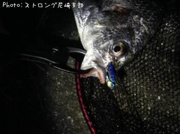 キビレ