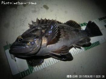 クロソイ