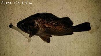 クロソイ