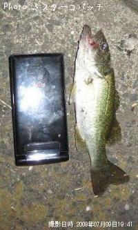 ブラックバス