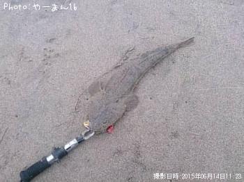 こち