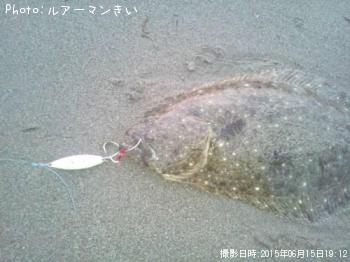 ヒラメ