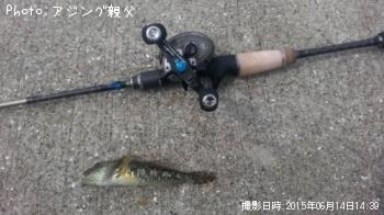 アイナメ、アナハゼ