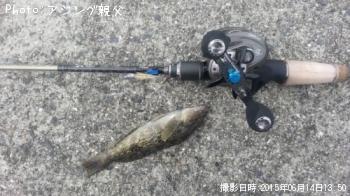アイナメ、アナハゼ