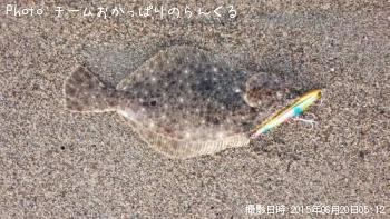 そげ