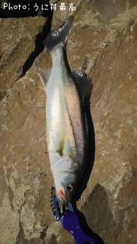 �����Х�