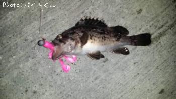 クロソイ