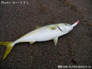 イナダ