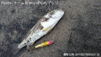 イシモチ