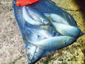 アジ