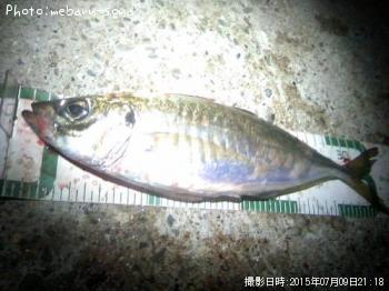 アジ