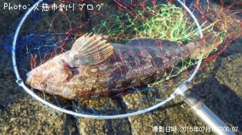 ʥ
