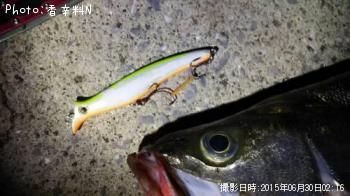 シーバス