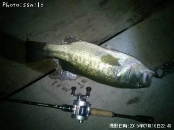 ブラックバス