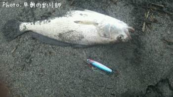 イシモチ