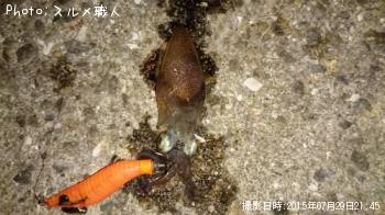 ベイカ