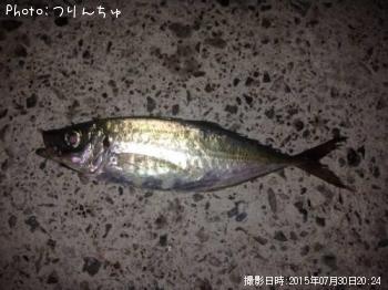 アジ